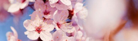 Nora En Pure - Remind Me (Original Mix) [Preview]