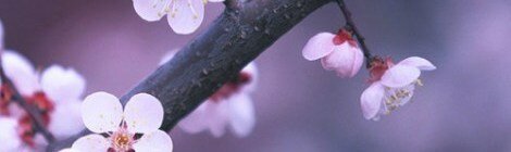 edx-makes-me-feel-good