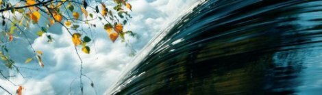 Funkin Matt - Elephant (Original Mix)