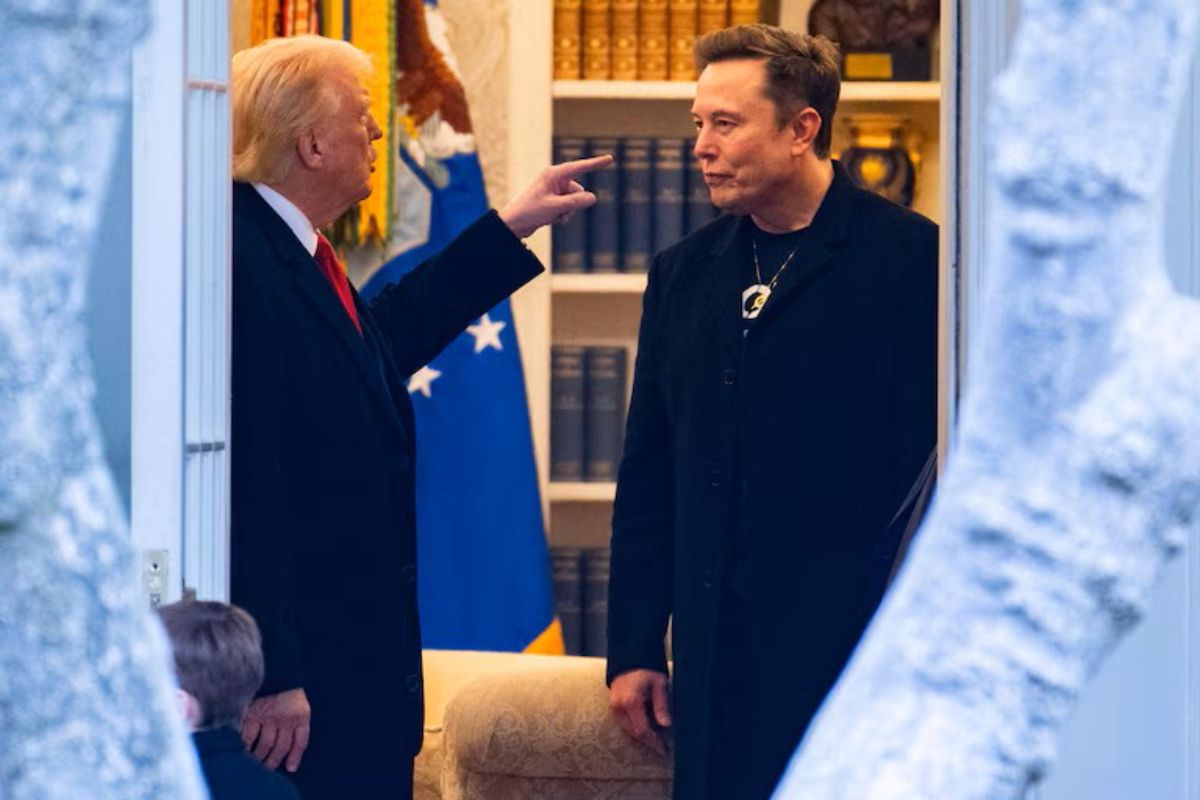 What the hell is Elon doing here