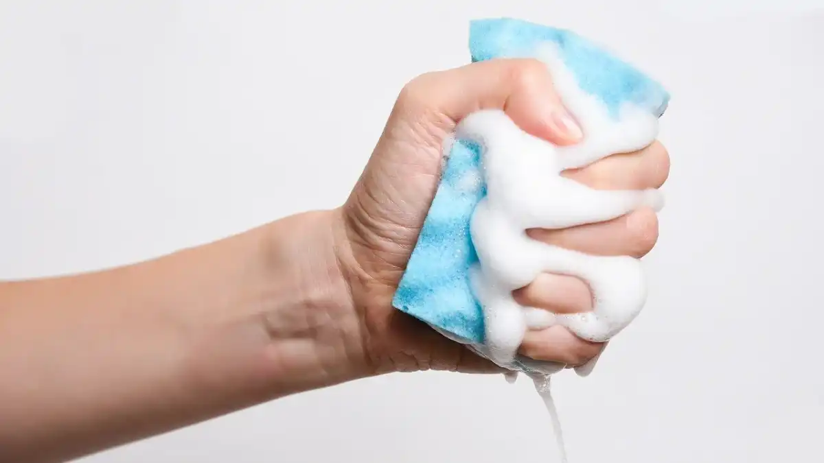 Experts call for an immediate ban on magic sponges for household cleaning