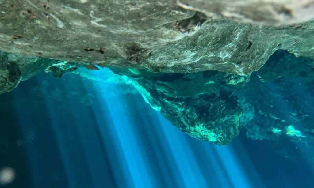 The discovery no one expected has a new ocean really just been discovered 700km