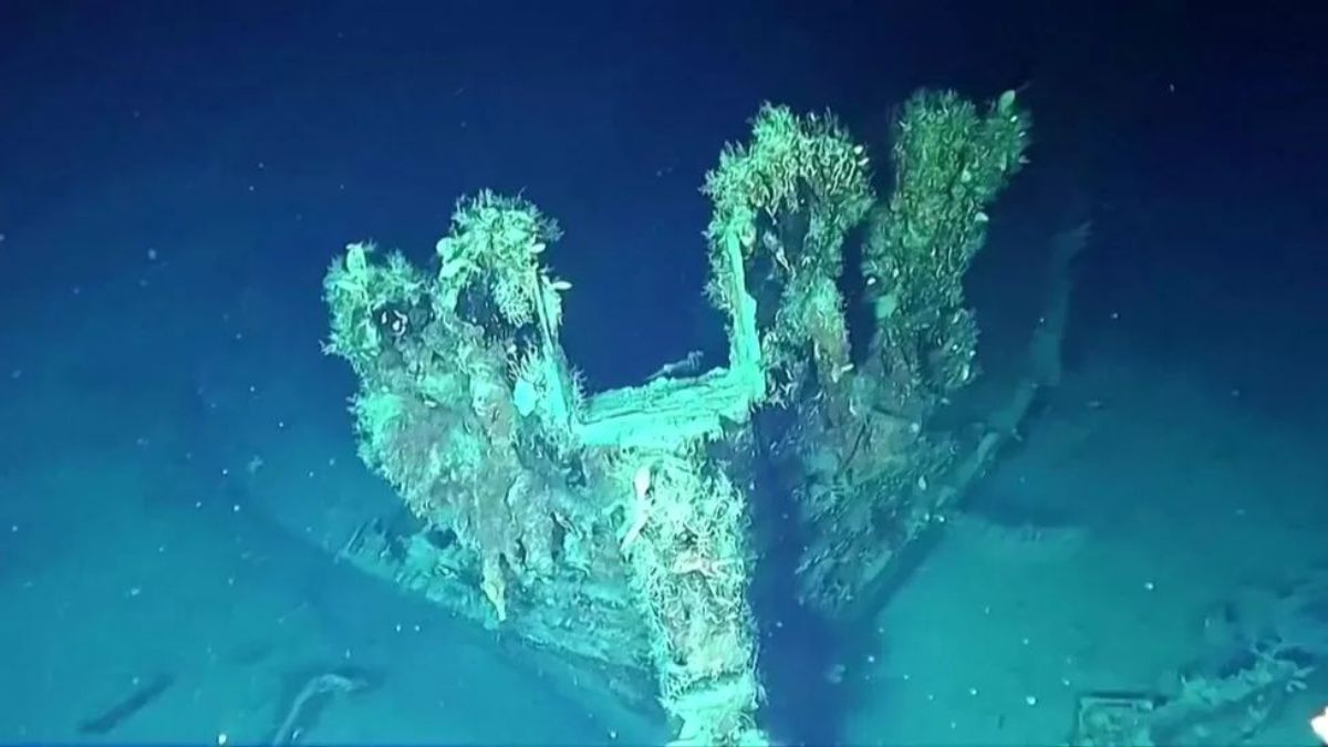 Europe discovers the greatest treasure ever found buried beneath the ocean: some 45,000 tonnes are extracted every year