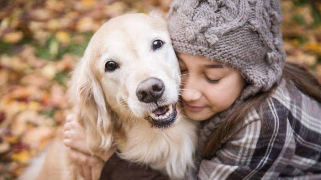 The Top 10 Most Loving and Friendly Dog Breeds to Warm Your Heart