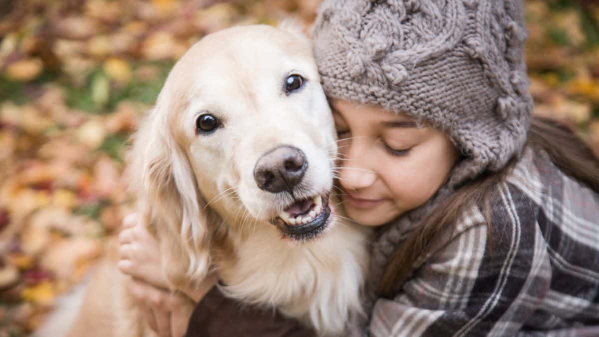 The Top 10 Most Loving and Friendly Dog Breeds to Warm Your Heart