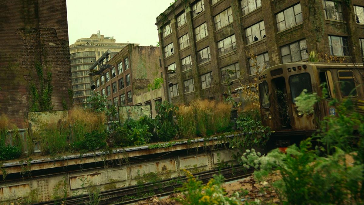 It's neither a monkey nor a robot here is the animal that could rule the Earth after humans